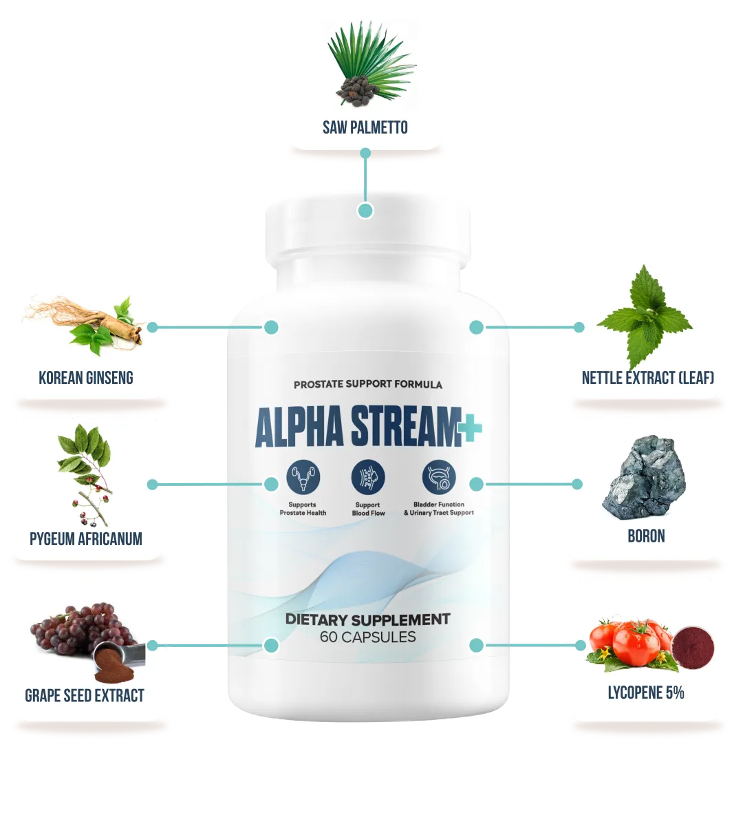 alpha stream plus prostate support