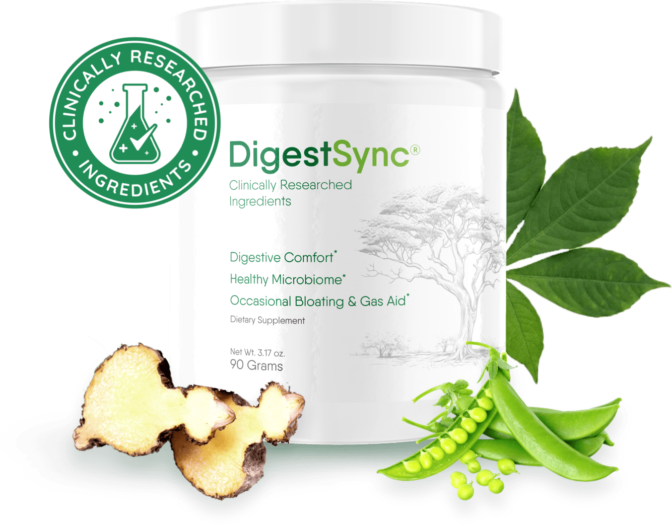 Best Improve Gut Flora Quickly - Expert Analysis And Tips 2026