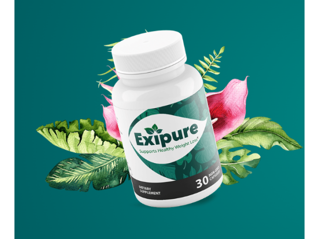 Exipure Weight Loss Results - Expert Guide 2026