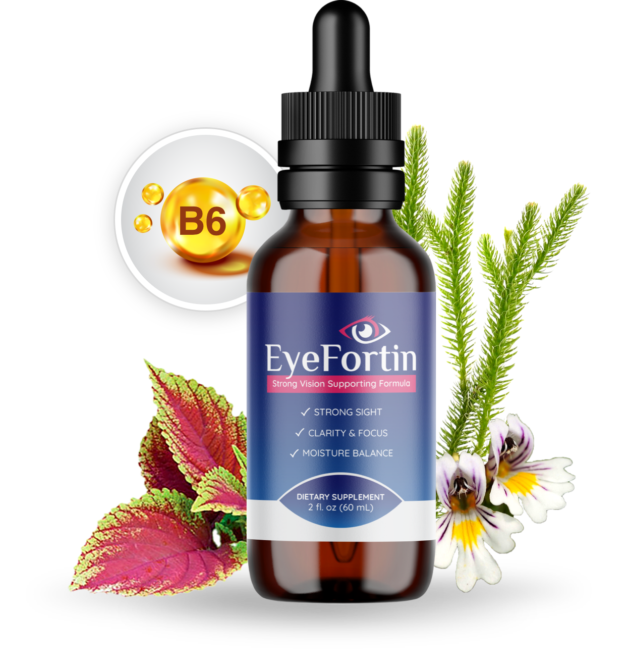Complete Guide To EyeFortin Ultimate Buying Guide - Expert Review  - 2026