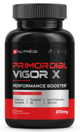 Primordial Vigor X