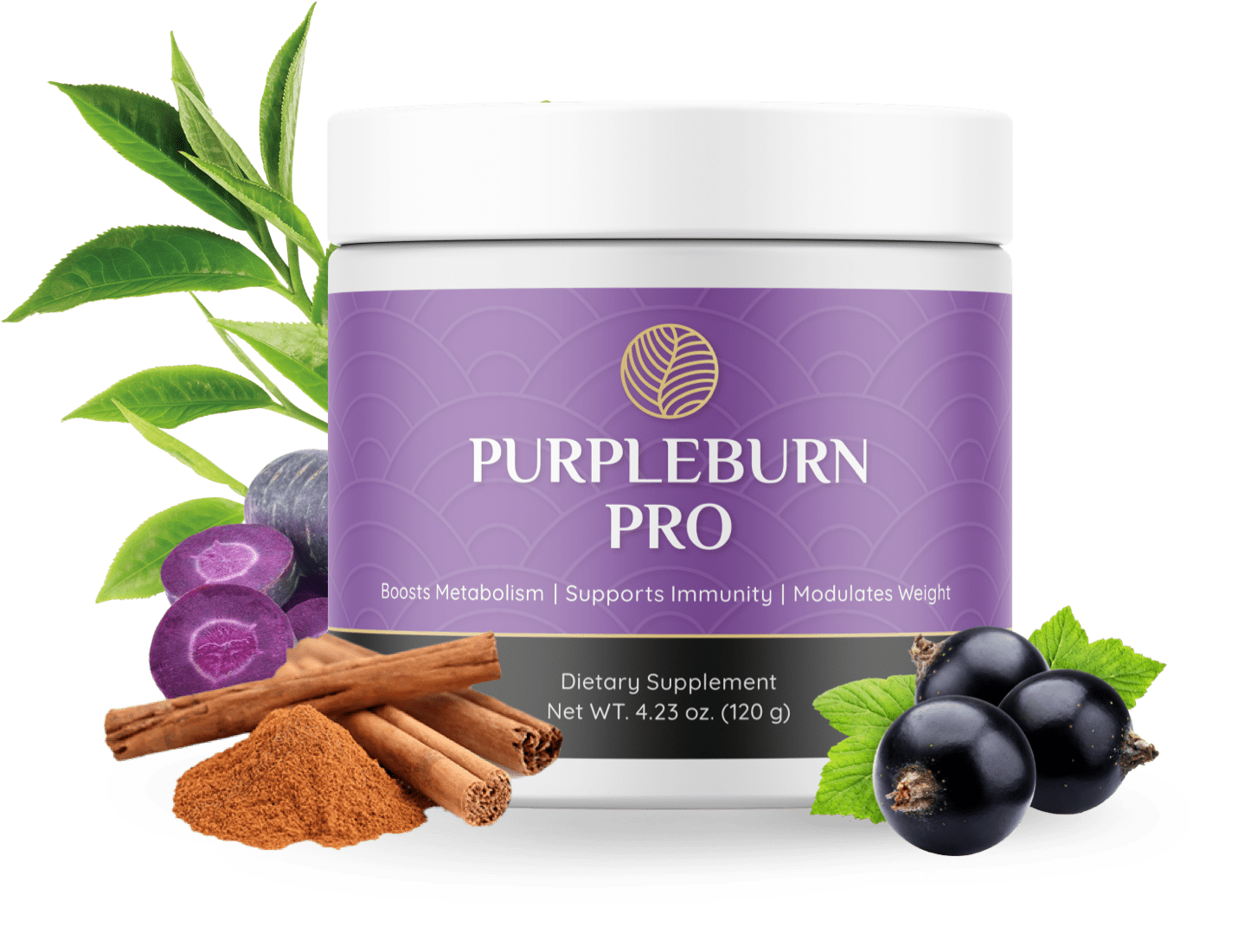 PurpleBurn Pro Buying Guide: Expert Insights And Recommendations (2026)