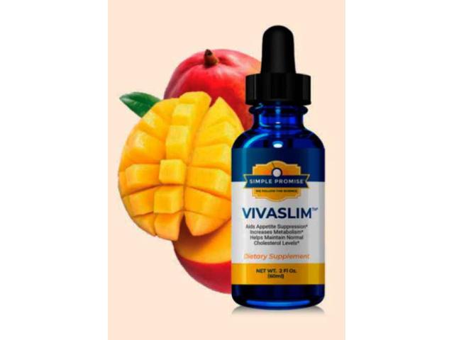 VivaSlim Weight Loss Results - Complete Review And Guide 2026