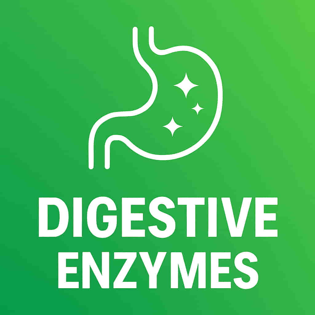 Digestive Enzymes