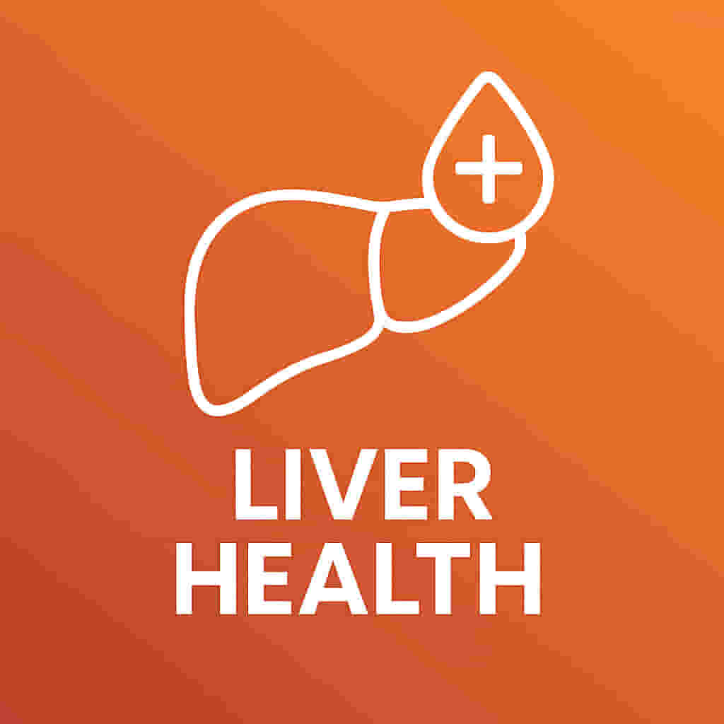 Liver Health